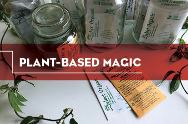 Plant Based Magic